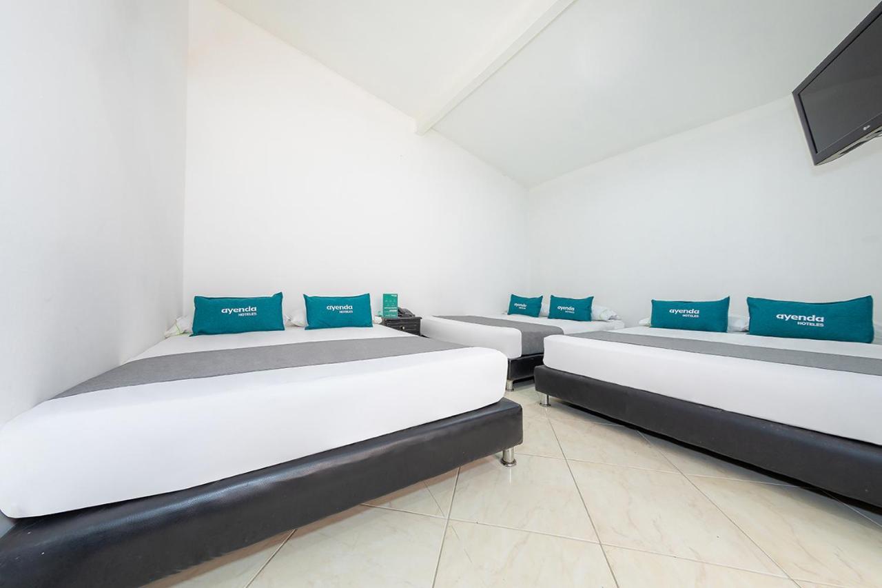 Ayenda Vittapark Hotel Medellín Eksteriør billede